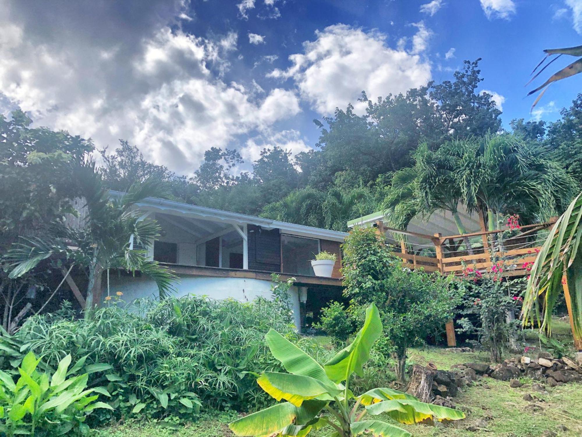 Domaine Palm Alizes Et Manureva Hébergement de vacances